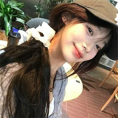 夏绿蒂的网